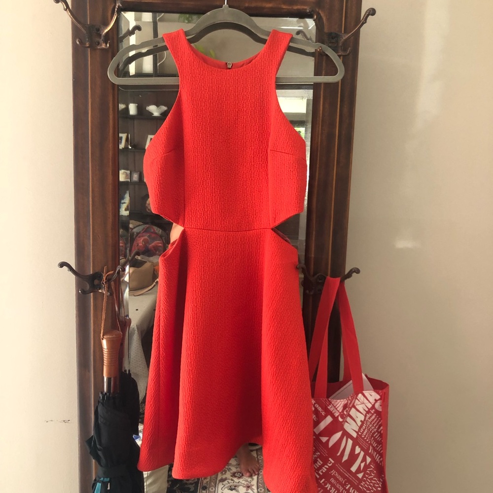 Club Monaco dress